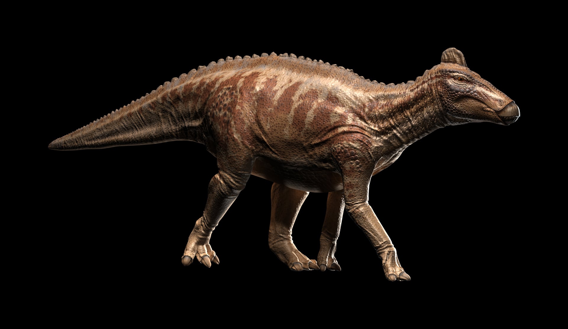 edmontosaurus jwe