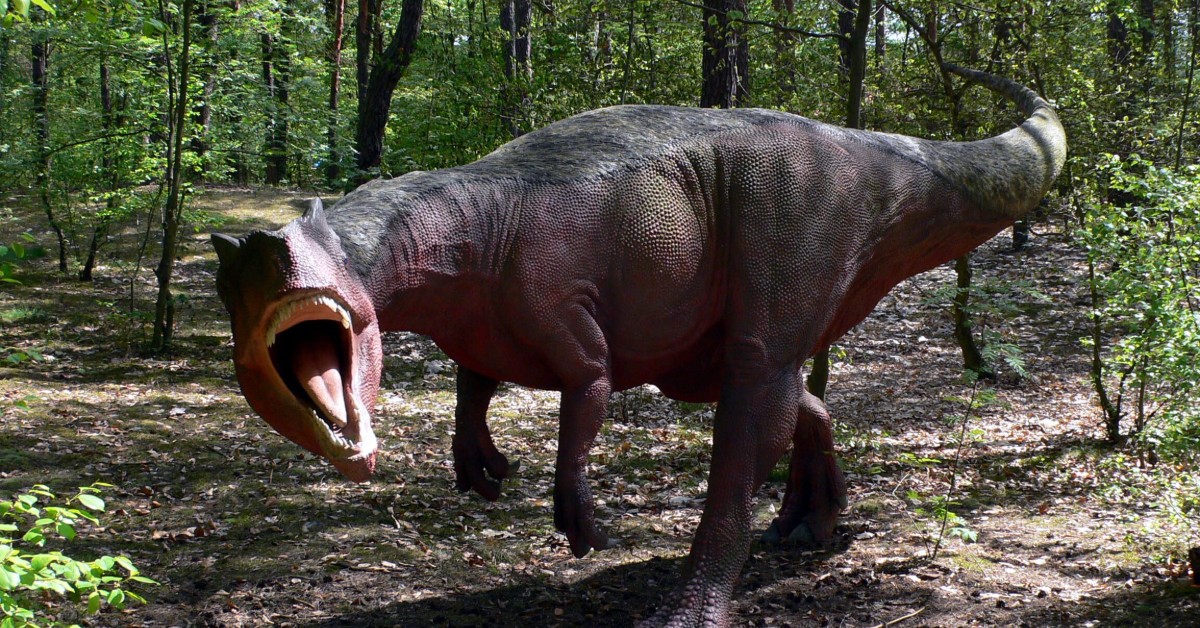 allosaurus 2020